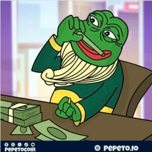 Read more about the article Meme Coin Hype Cycle: Is PEPETO the Next Big Winner?